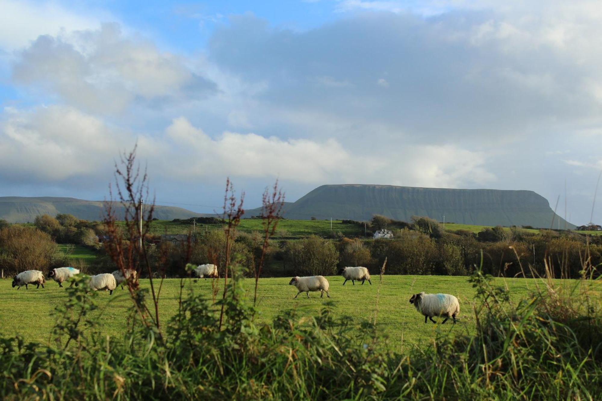 Apartment Armada Seashore Sligo Grange (Sligo)