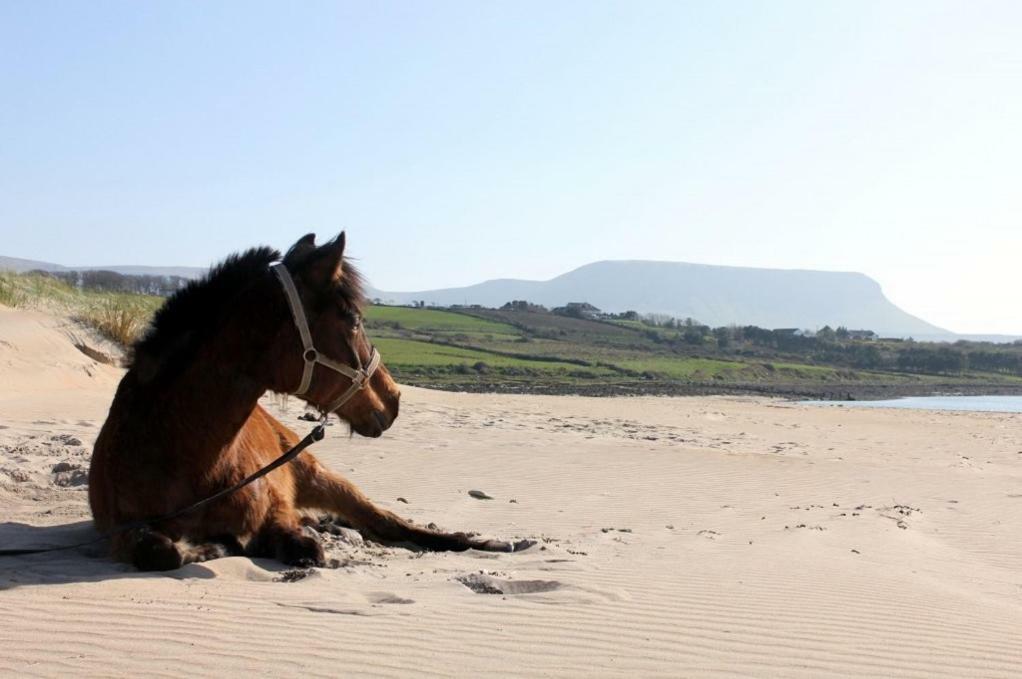 Armada Seashore Sligo Apartment Grange (Sligo)