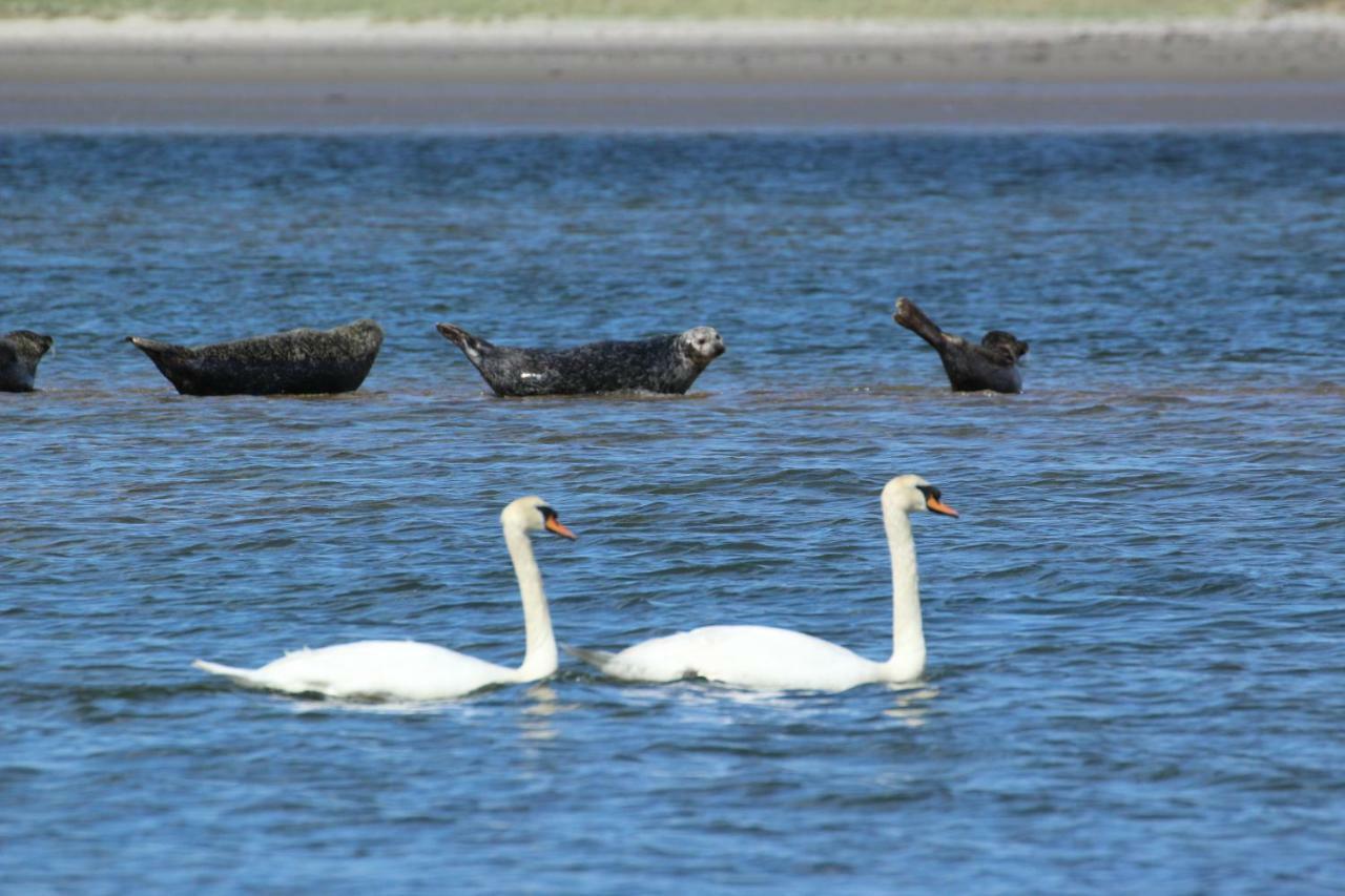 Apartment Armada Seashore Sligo Grange (Sligo)