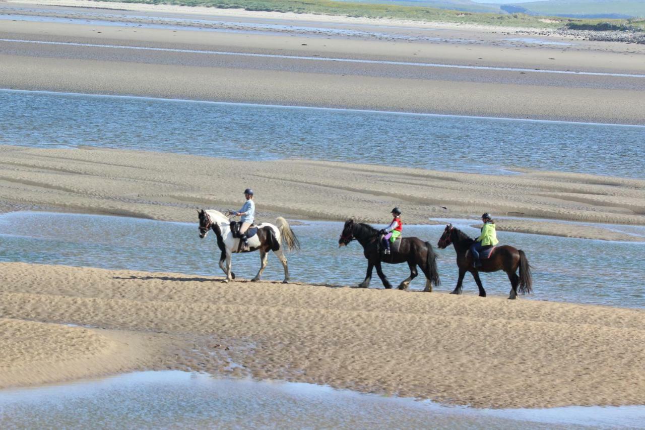 Armada Seashore Sligo