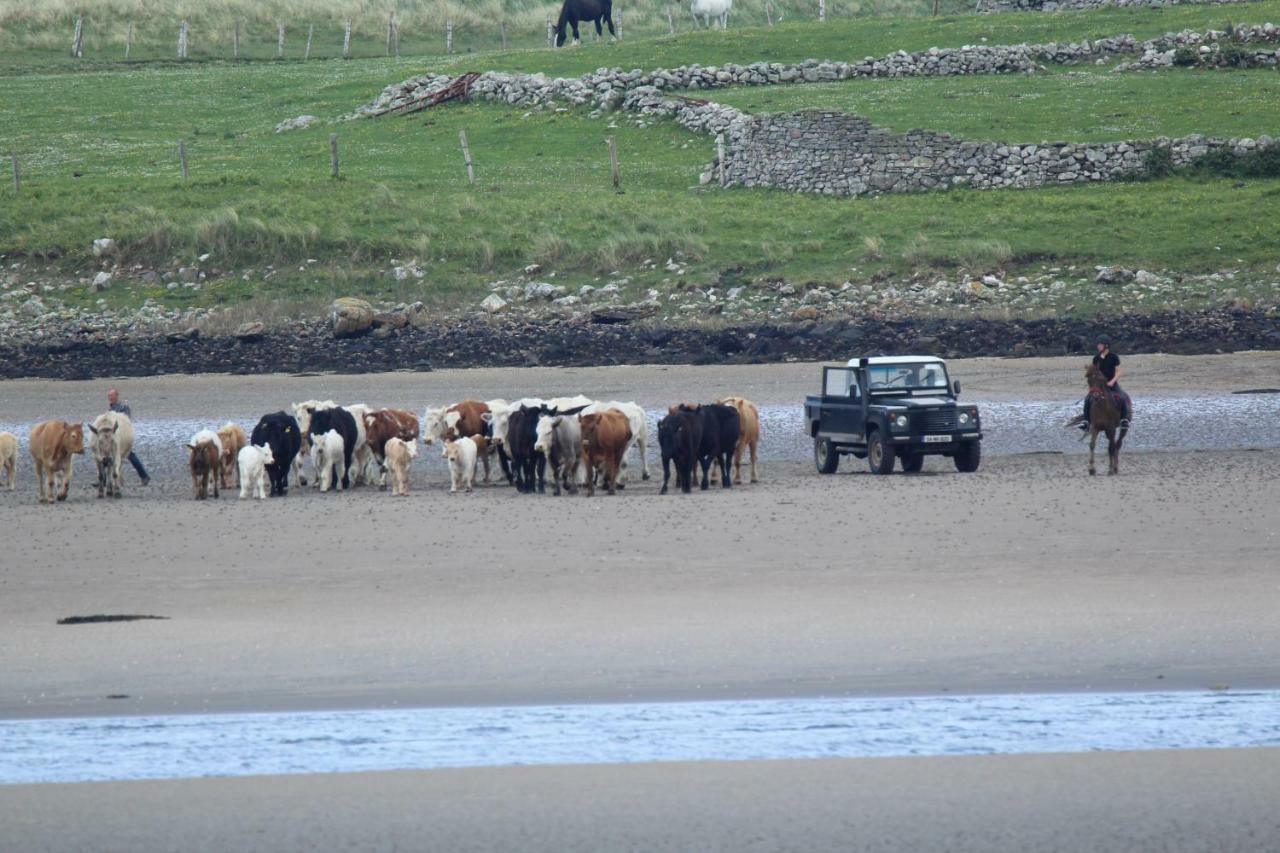 Armada Seashore Sligo Apartment *